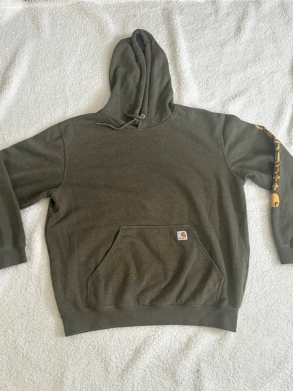 Carhartt Loose Fit Logo Sleeve Graphic Sweatshirt K288 Hoodie Moss Green